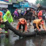 Cepat dan Sigab Babinsa Koramil 0602/Serang Bersama Anggota Polsek Dan Personil BPBD Kota Serang Evakuasi Pohon Tumbang.